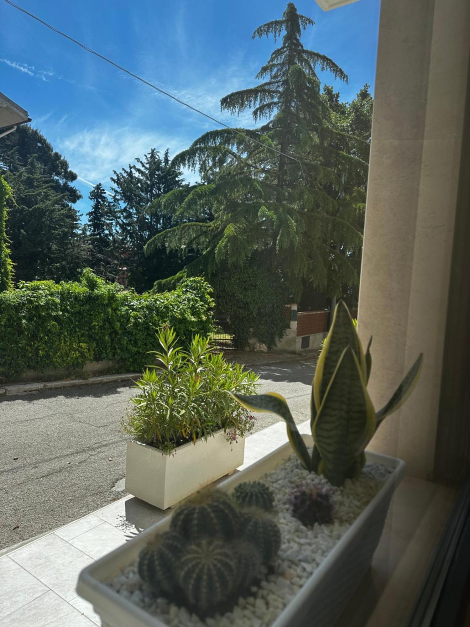 Hotel San Francesco San Giovanni Rotondo Dış mekan fotoğraf